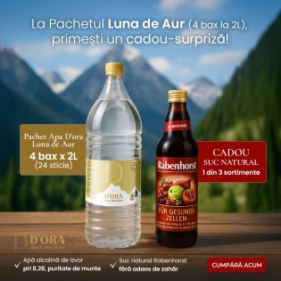 4 BAX (24 x Apa D'ORA cu Aur & Argint Coloidal, 2 Litri) - imagine 2